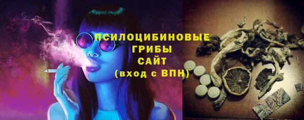 mix Богородицк